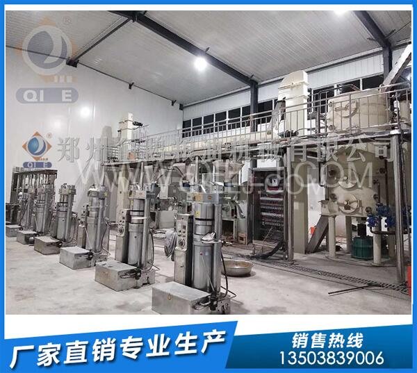 企鵝榨油機:山東用戶核桃油壓榨精煉設備發貨(圖3) 螺旋榨油機