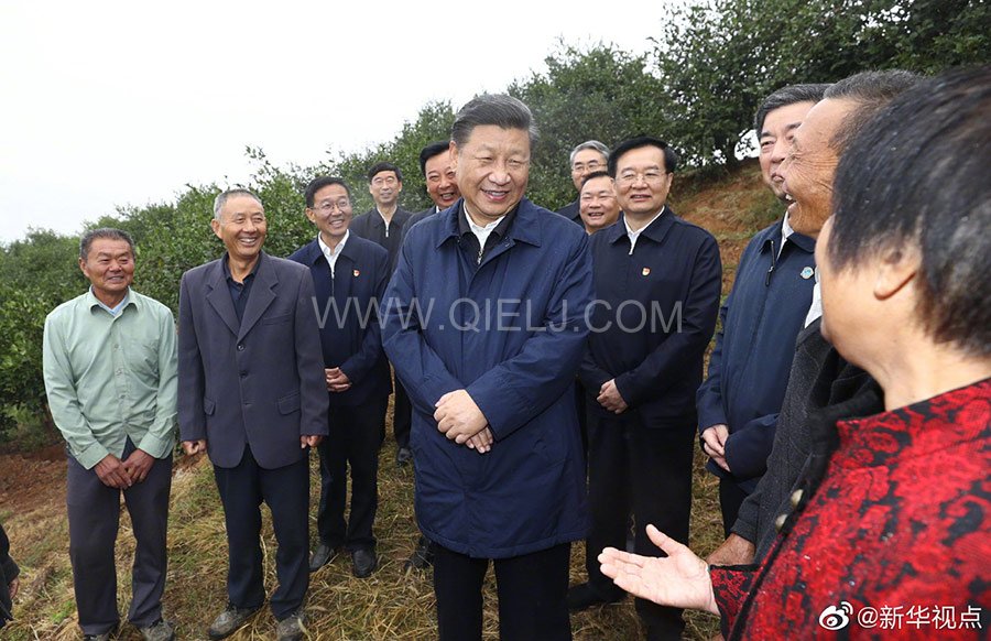 光山油茶籽榨油設備，山茶籽油榨油機廠家(圖2)